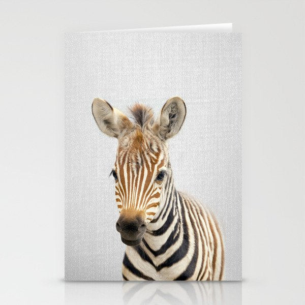 Baby Zebra - Colorful Stationery Card Gallery Image 2