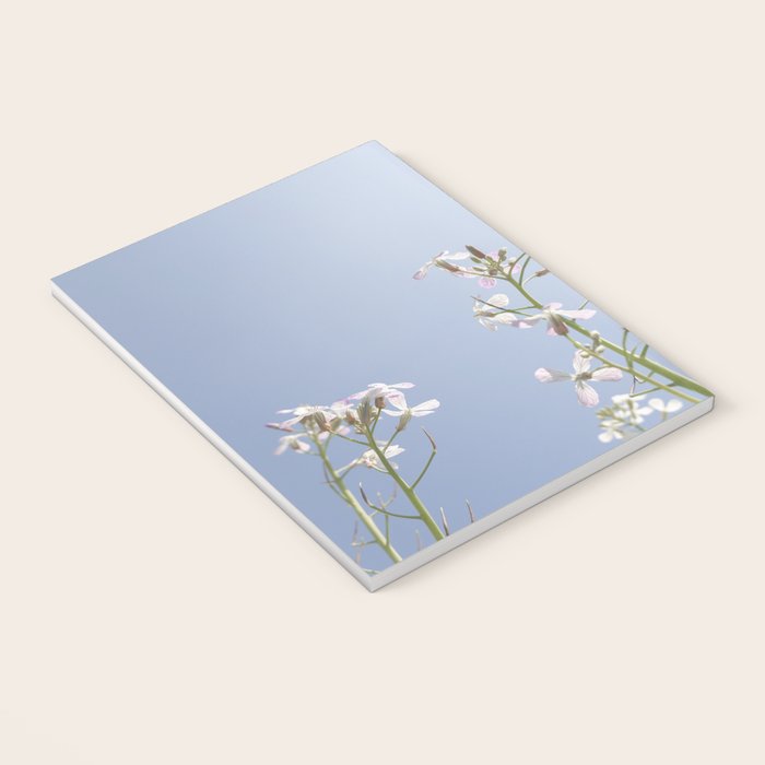 Wild radish flowers in a meadow in the spring against a clear blue sky - nature photography Notebook Gallery Image 3