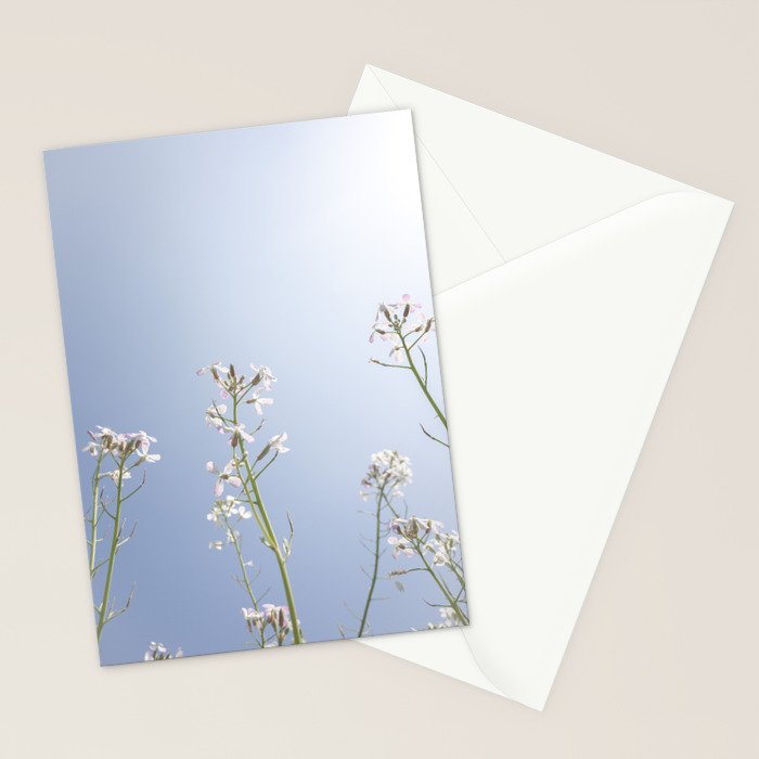 Wild radish flowers in a meadow in the spring against a clear blue sky - nature photography Stationery Card Gallery Image 2