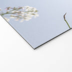 Wild radish flowers in a meadow in the spring against a clear blue sky - nature photography Welcome Mat Gallery Image 2