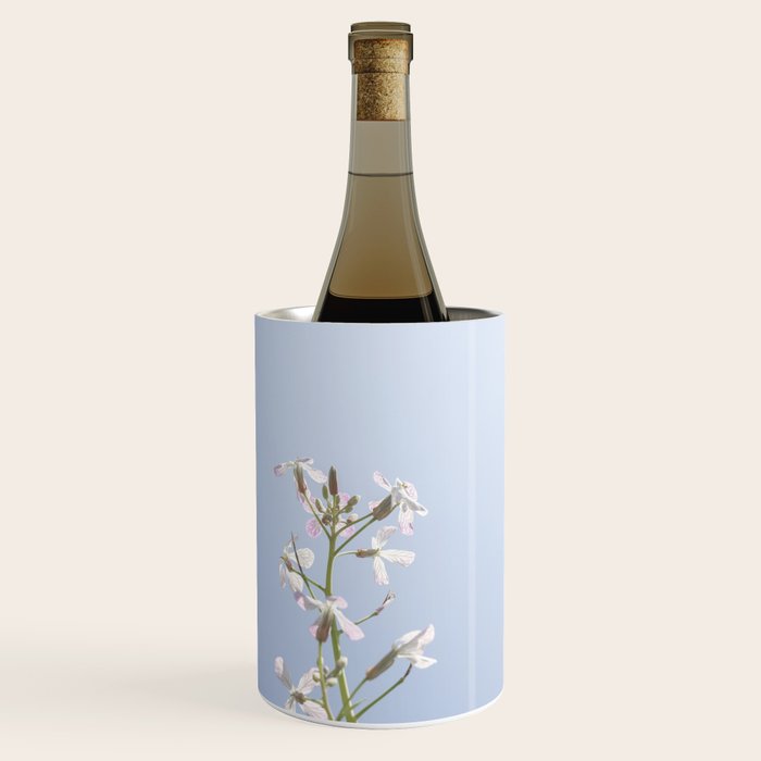 Wild radish flowers in a meadow in the spring against a clear blue sky - nature photography Wine Chiller Gallery Image 1