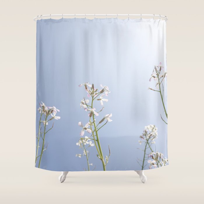 Wild radish flowers in a meadow in the spring against a clear blue sky - nature photography Shower Curtain Gallery Image 1