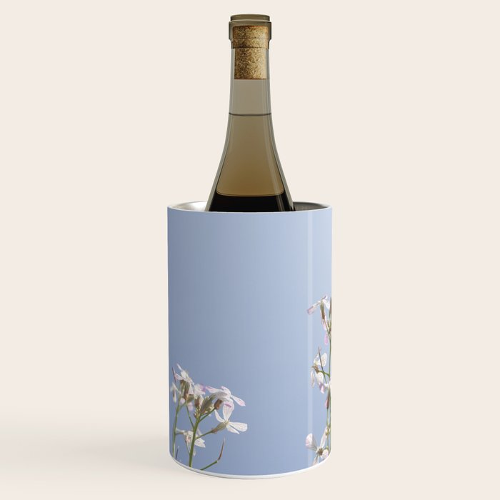 Wild radish flowers in a meadow in the spring against a clear blue sky - nature photography Wine Chiller Gallery Image 2