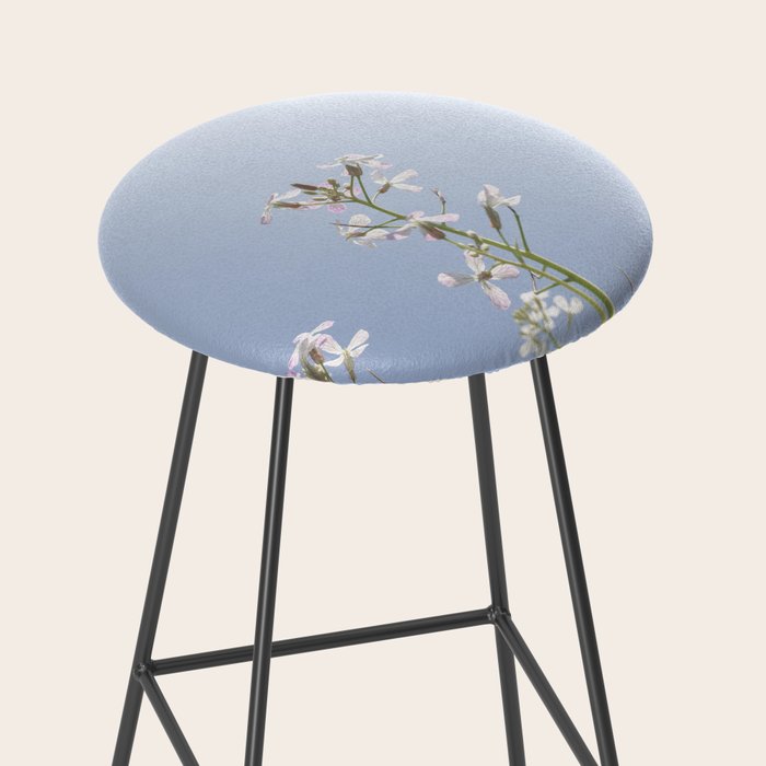 Wild radish flowers in a meadow in the spring against a clear blue sky - nature photography Stool Gallery Image 2