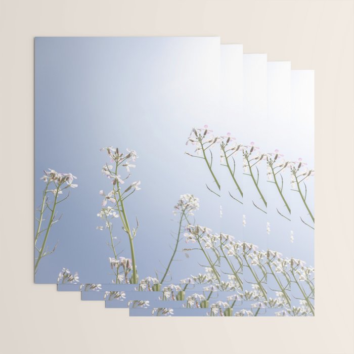 Wild radish flowers in a meadow in the spring against a clear blue sky - nature photography Wrapping Paper Gallery Image 3