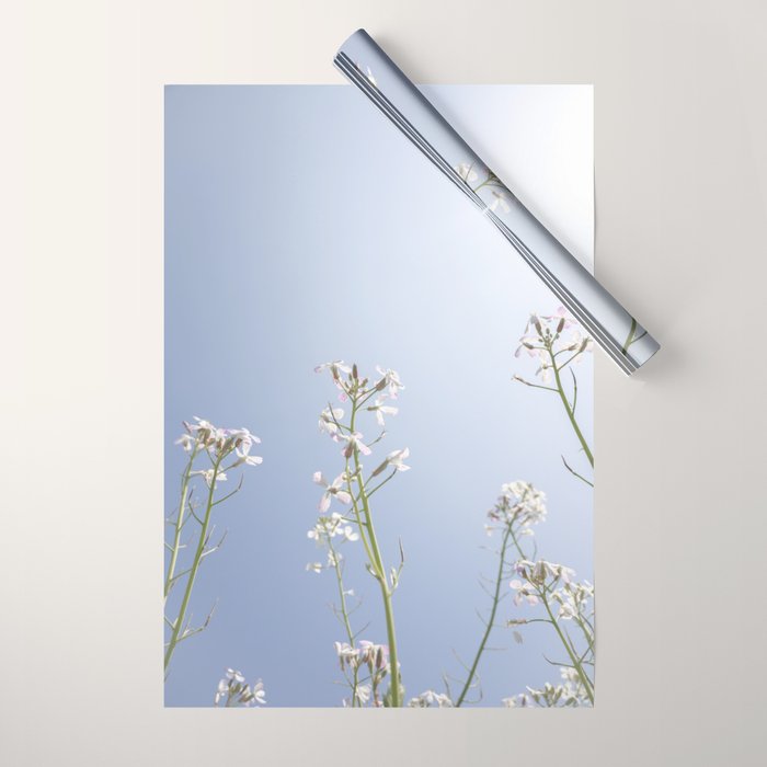 Wild radish flowers in a meadow in the spring against a clear blue sky - nature photography Wrapping Paper Gallery Image 1