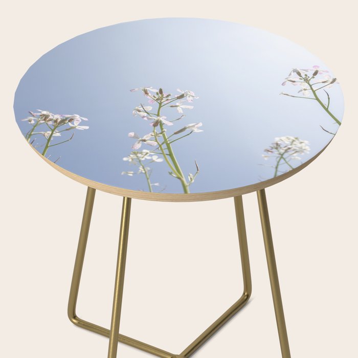 Wild radish flowers in a meadow in the spring against a clear blue sky - nature photography Side Table Gallery Image 2