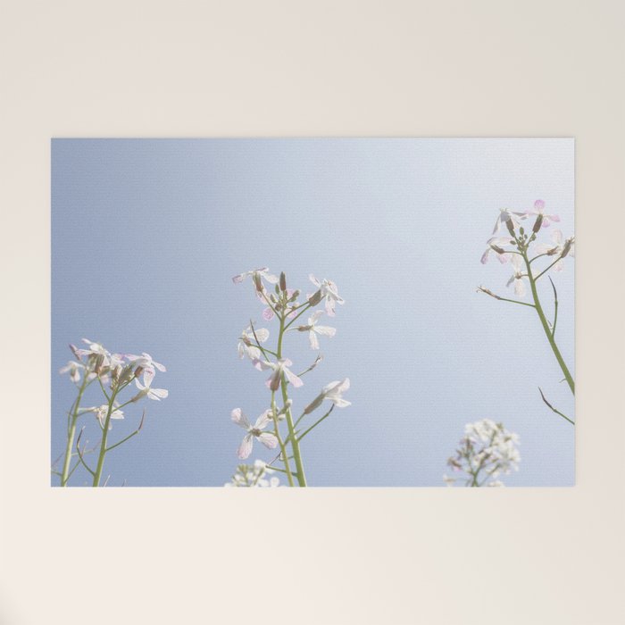 Wild radish flowers in a meadow in the spring against a clear blue sky - nature photography Welcome Mat Gallery Image 1