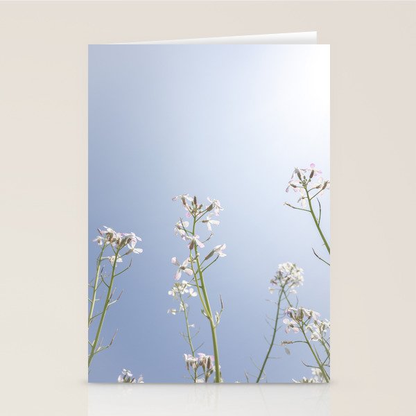 Wild radish flowers in a meadow in the spring against a clear blue sky - nature photography Stationery Card Gallery Image 1