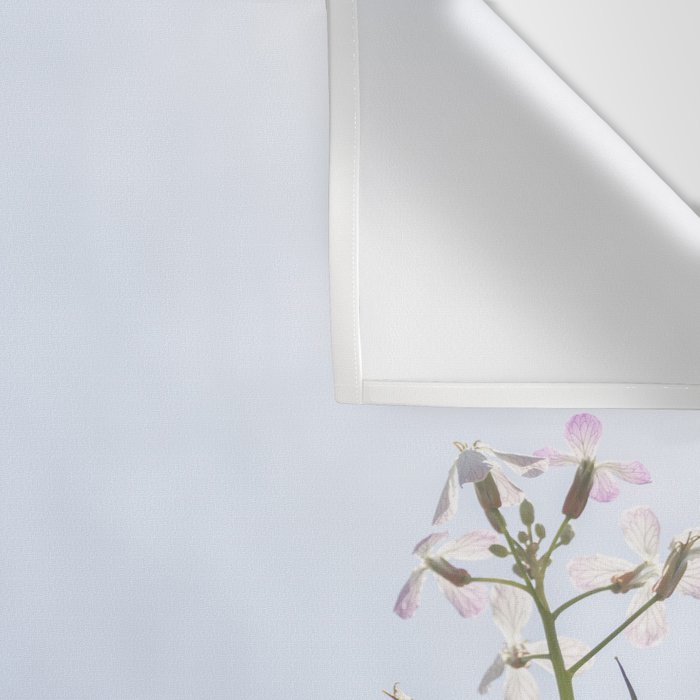 Wild radish flowers in a meadow in the spring against a clear blue sky - nature photography Wall Tapestry Gallery Image 3