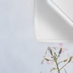 Wild radish flowers in a meadow in the spring against a clear blue sky - nature photography Wall Tapestry Gallery Image 3