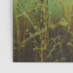 Fog Poster Gallery Image 3