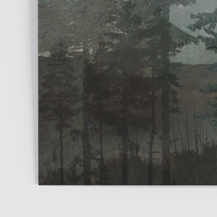 Pine Trees Poster Gallery Image 3