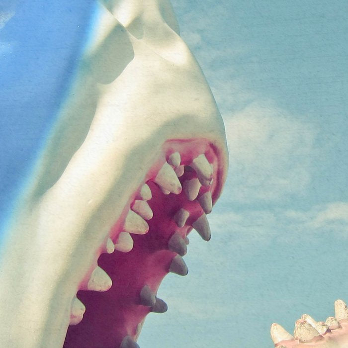 Shark! Coffee Mug Gallery Image 2