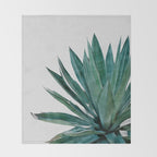 Agave Cactus Throw Blanket Gallery Image 2