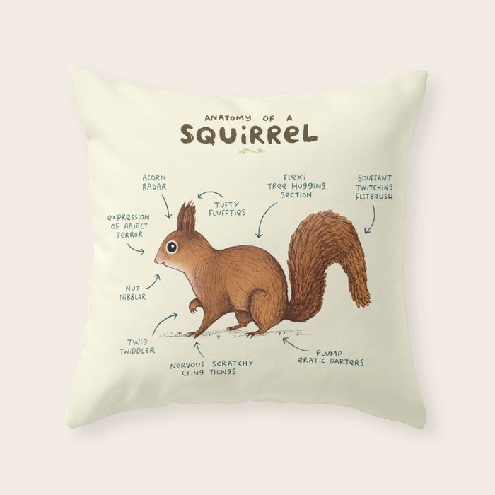 Anatomy of a Squirrel Throw Pillow Gallery Image 1