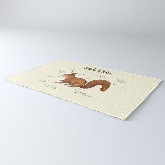 Anatomy of a Squirrel Rug Gallery Image 3