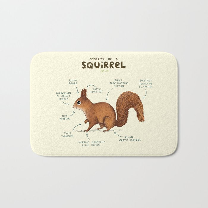 Anatomy of a Squirrel Bath Mat Gallery Image 1