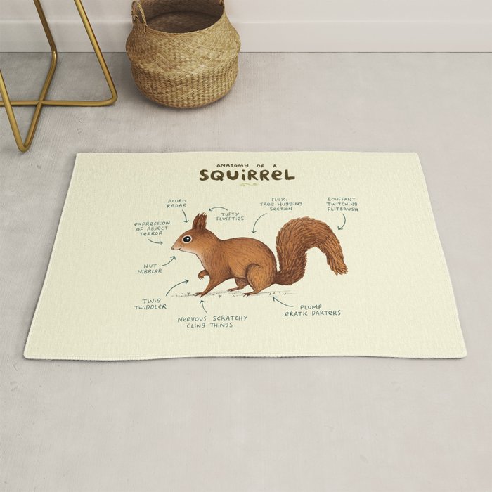 Anatomy of a Squirrel Rug Gallery Image 1