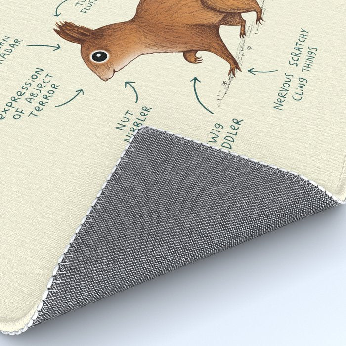 Anatomy of a Squirrel Rug Gallery Image 4