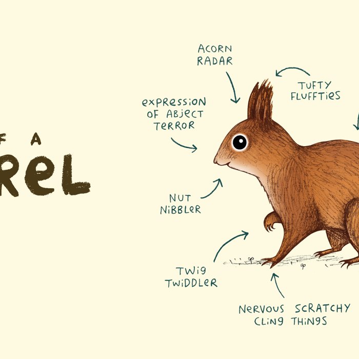 Anatomy of a Squirrel Coffee Mug Gallery Image 2