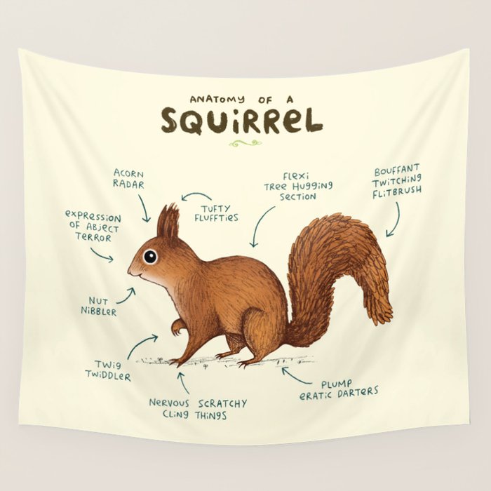 Anatomy of a Squirrel Wall Tapestry Gallery Image 4