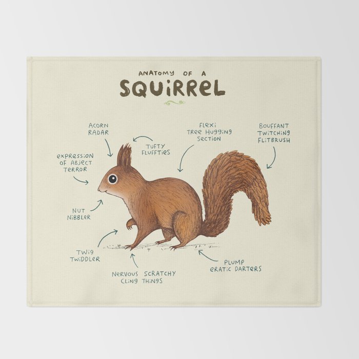 Anatomy of a Squirrel Throw Blanket Gallery Image 2