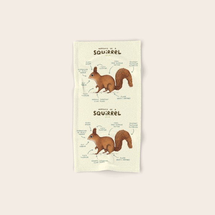 Anatomy of a Squirrel Hand & Bath Towel Gallery Image 1