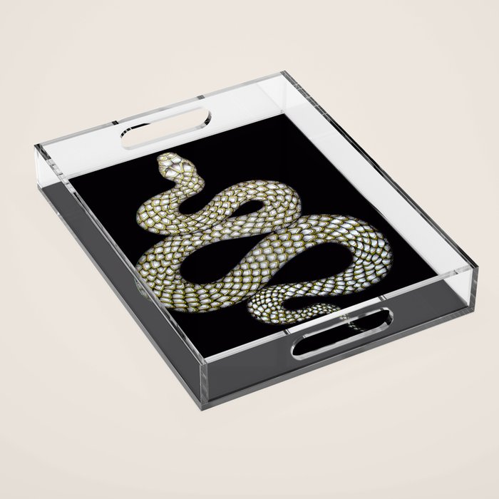 Snake's Charm in Black Acrylic Tray Gallery Image 1