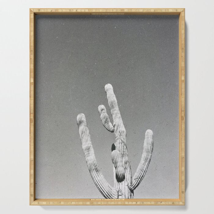 DESERT CACTUS VIII Serving Tray Gallery Image 1