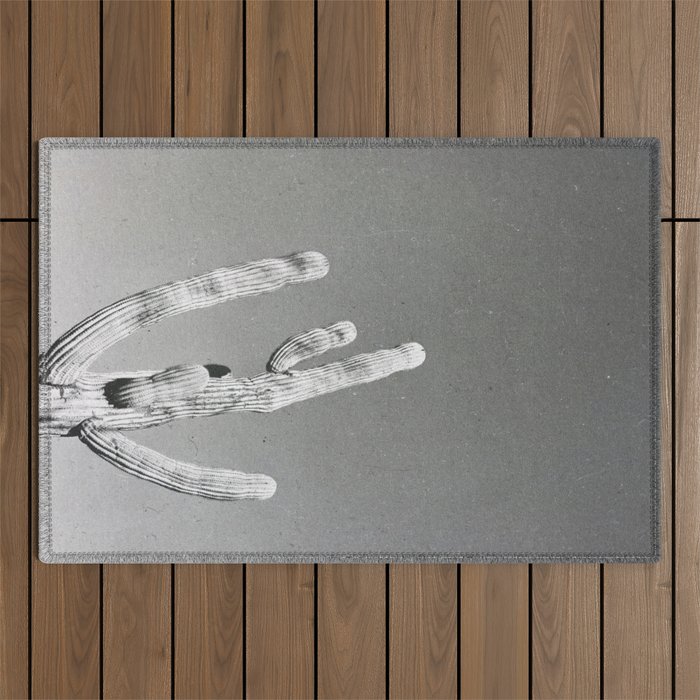 DESERT CACTUS VIII Outdoor Rug Gallery Image 1