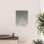 DESERT CACTUS VIII Poster Gallery Image 2
