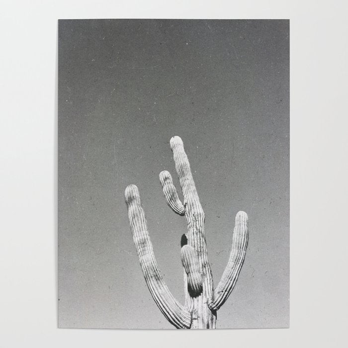 DESERT CACTUS VIII Poster Gallery Image 4
