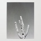 DESERT CACTUS VIII Poster Gallery Image 4
