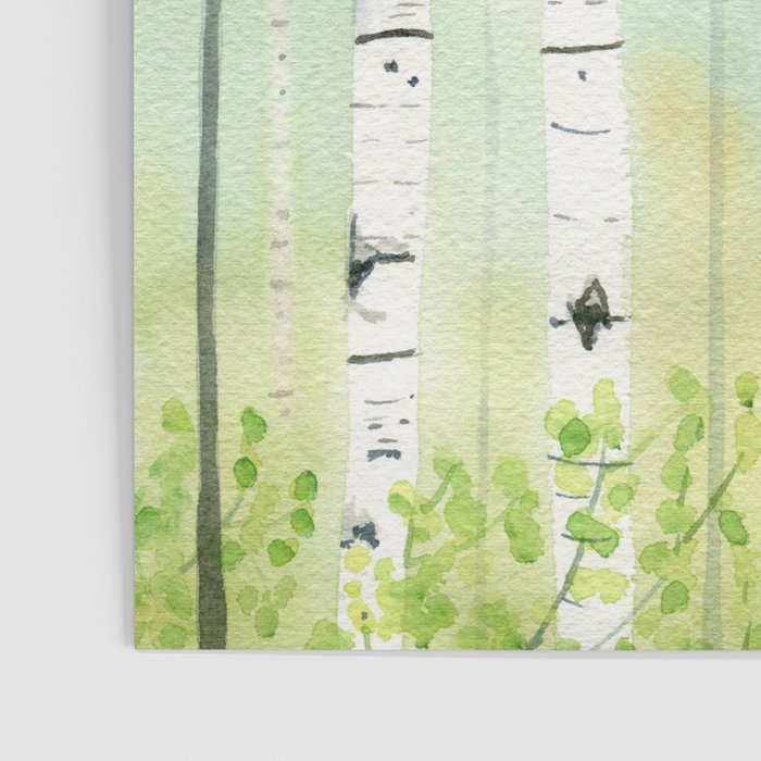 Birch Trees 2  Poster Gallery Image 3