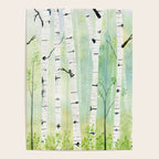 Birch Trees 2  Poster Gallery Image 4