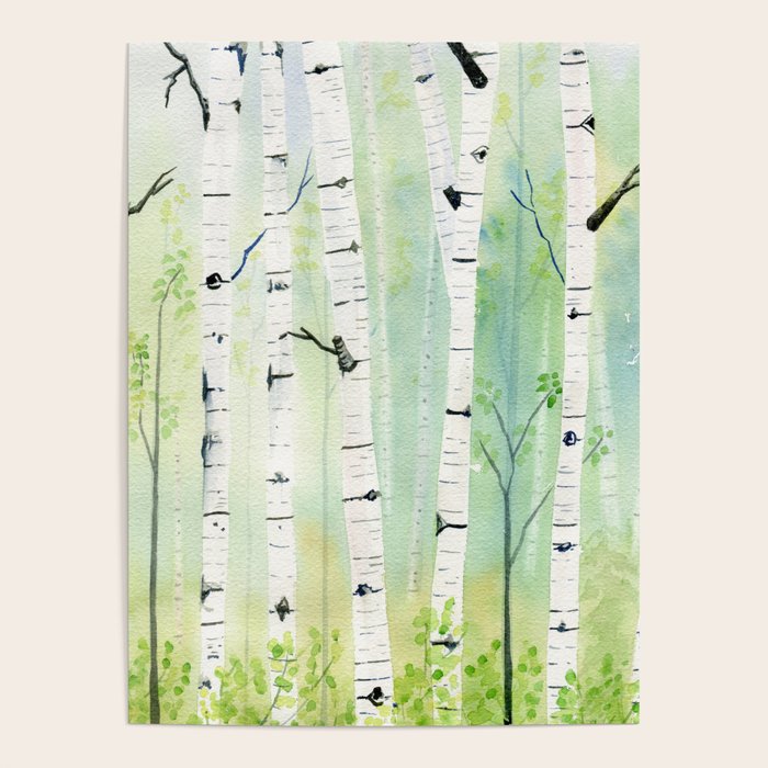 Birch Trees 2  Poster Gallery Image 4