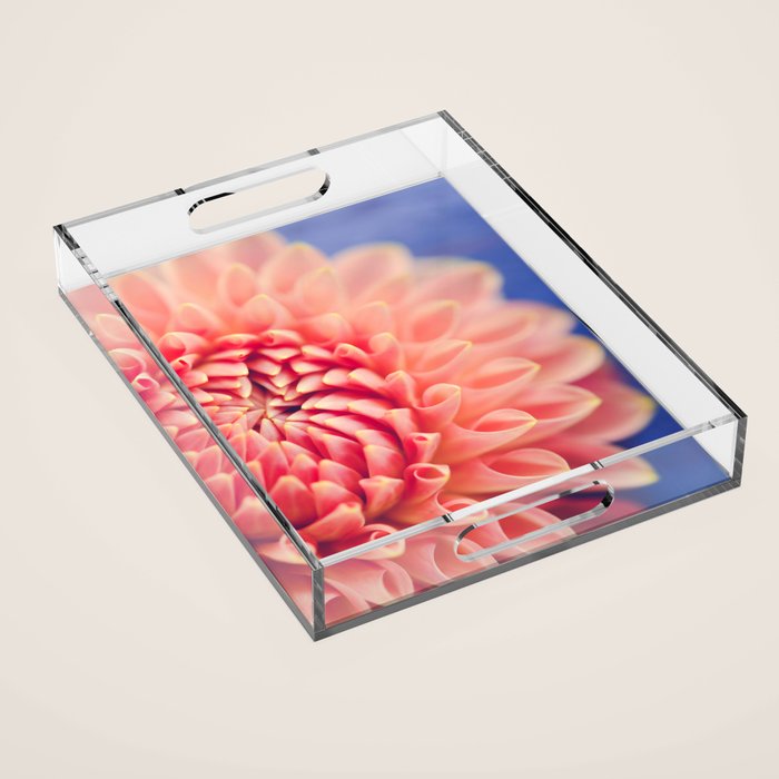 Enlightened -pink autumn dahlia flower photography Acrylic Tray Gallery Image 1