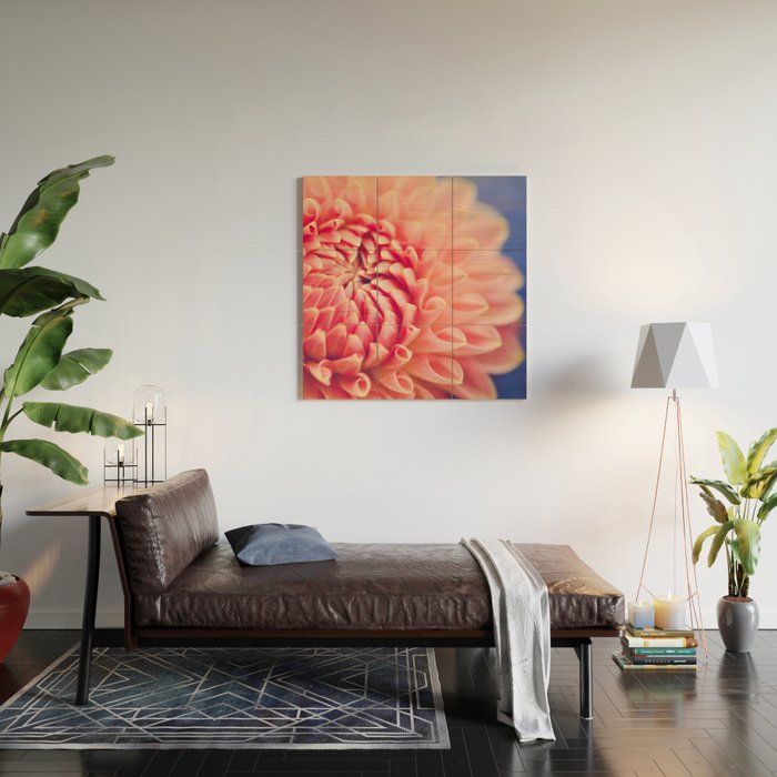 Enlightened -pink autumn dahlia flower photography Wood Wall Art Gallery Image 2