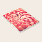 Enlightened -pink autumn dahlia flower photography Notebook Gallery Image 3