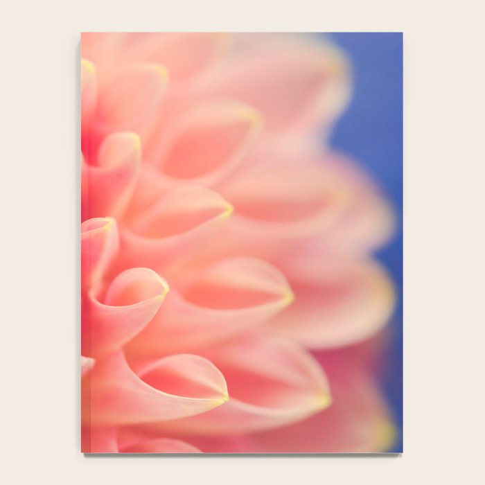 Enlightened -pink autumn dahlia flower photography Notebook Gallery Image 4