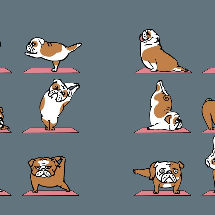 English Bulldog Yoga Coffee Mug Gallery Image 2