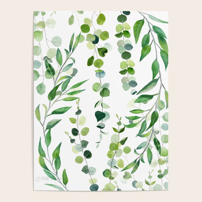 Nature Green Eucalyptus Leaves  Poster Gallery Image 1
