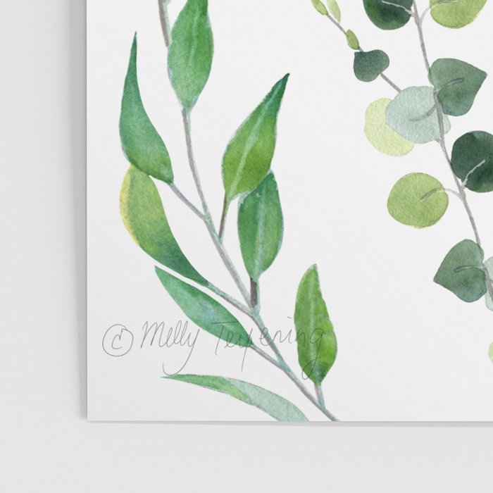 Nature Green Eucalyptus Leaves  Poster Gallery Image 3