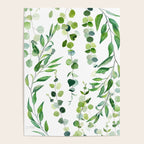 Nature Green Eucalyptus Leaves  Poster Gallery Image 4