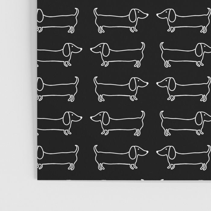 White dachshunds in black background Poster Gallery Image 3