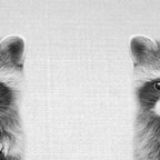 Raccoon - Black & White Coffee Mug Gallery Image 2
