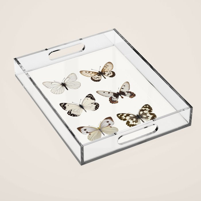 Butterflies in Neutral Colors Acrylic Tray Gallery Image 1