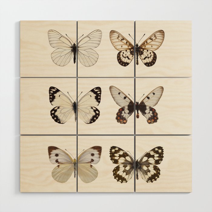 Butterflies in Neutral Colors Wood Wall Art Gallery Image 1