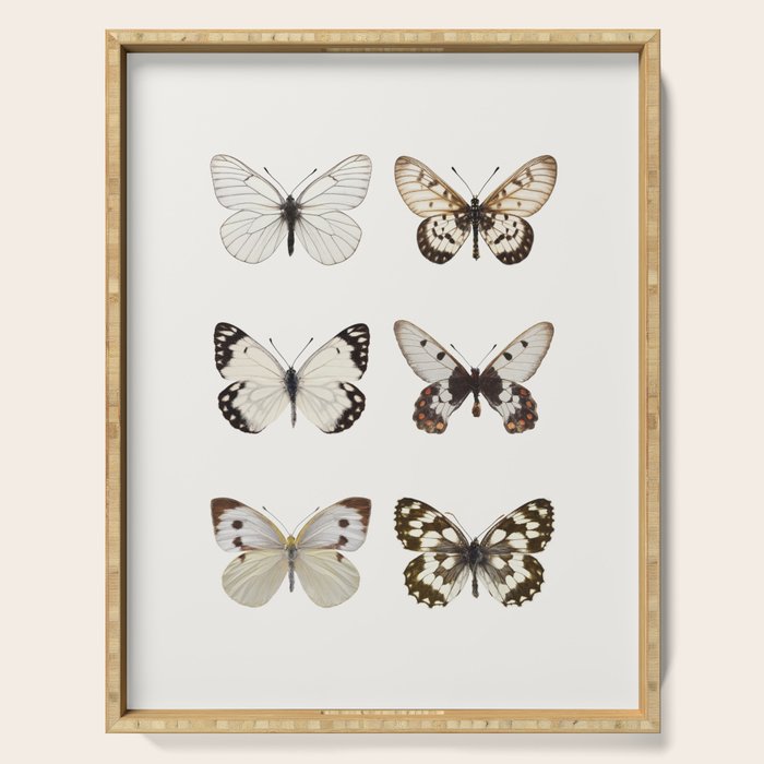 Butterflies in Neutral Colors Serving Tray Gallery Image 1